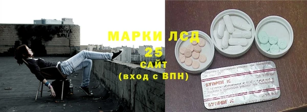 стаф Гусев
