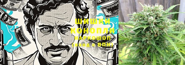 MDMA Гусиноозёрск