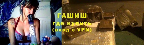 стаф Гусев