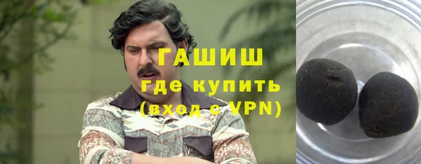 стаф Гусев