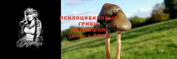 прущая мука Гусь-Хрустальный