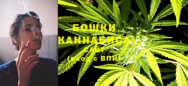 стаф Гусев