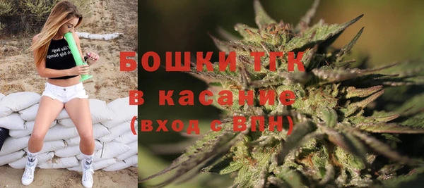 стаф Гусев