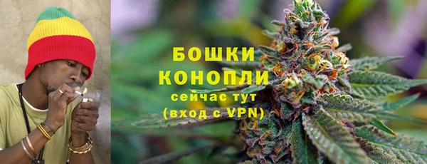 стаф Гусев