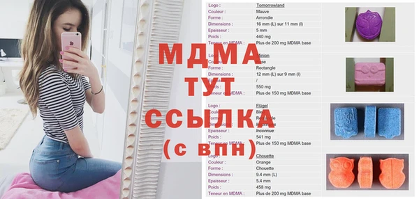 стаф Гусев