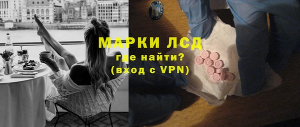 стаф Гусев