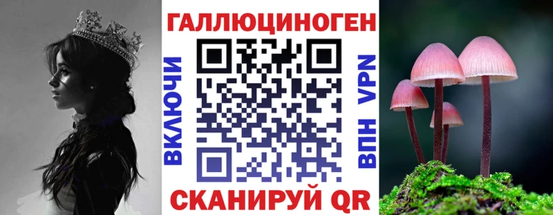 купить наркоту  Нерчинск  Галлюциногенные грибы прущие грибы 