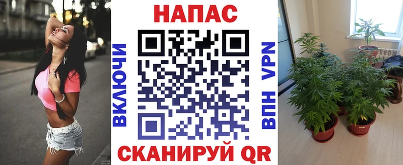 закладки  Нерчинск  кракен как зайти  МАРИХУАНА MAZAR 